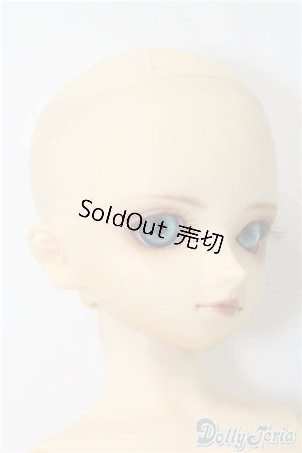 画像3: SDB/教室Bヘッド U-24-11-12-211-TN-ZU (3)