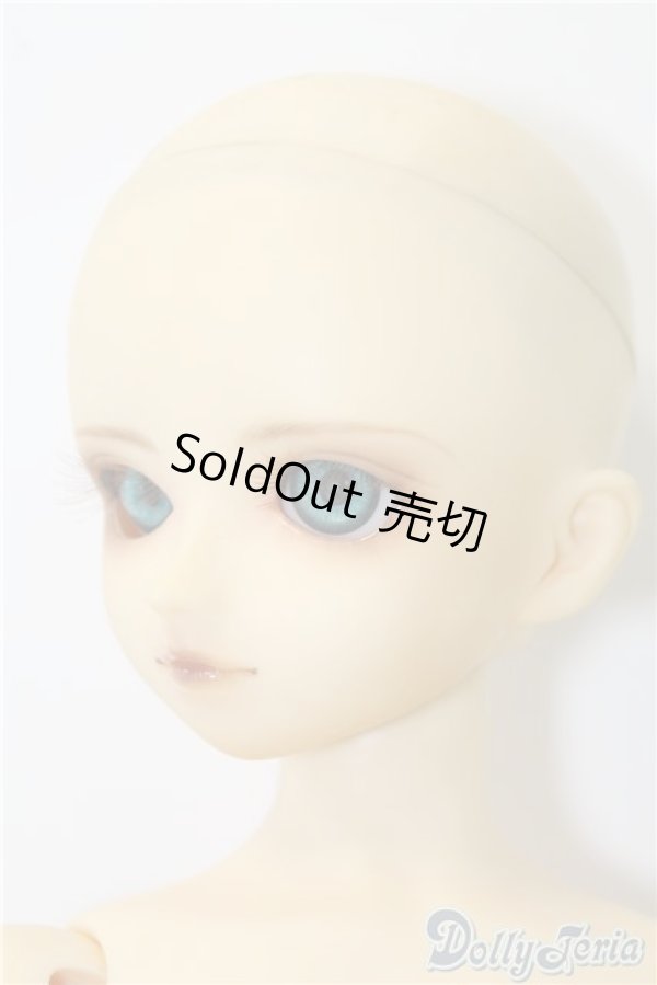 画像4: SDB/教室Bヘッド U-24-11-12-211-TN-ZU (4)