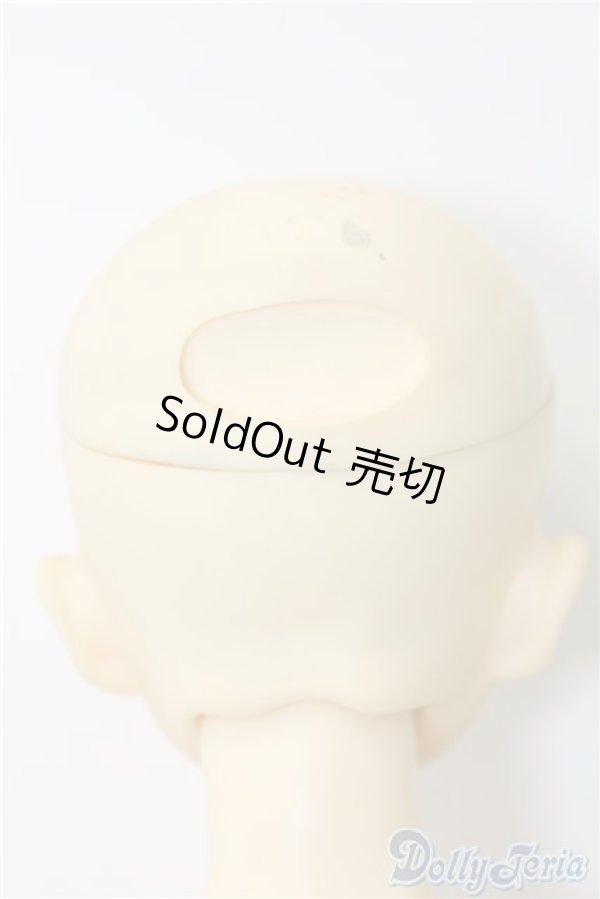 画像5: SDB/教室Bヘッド U-24-11-12-211-TN-ZU (5)