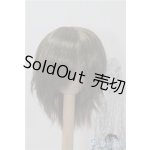 画像: 9-10inch/ウィッグ U-24-11-12-190-TN-ZU