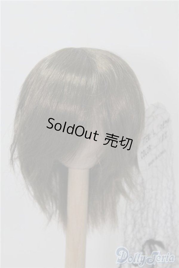 画像1: 9-10inch/ウィッグ U-24-11-12-190-TN-ZU (1)