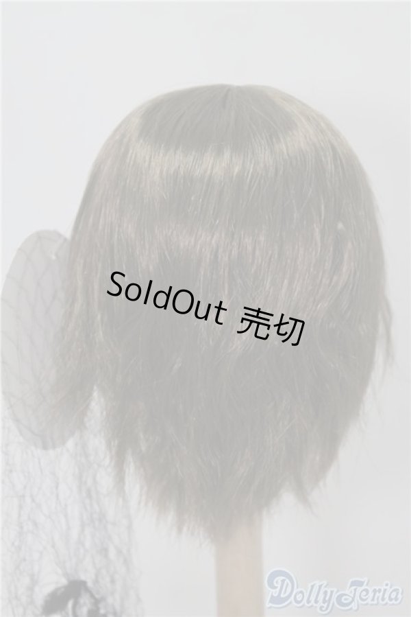 画像2: 9-10inch/ウィッグ U-24-11-12-190-TN-ZU (2)