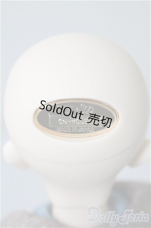 画像5: SDM/コーディネートF-40 U-24-11-19-217-TN-ZU (5)