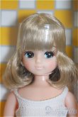 画像1: リカちゃんキャッスル/リカちゃん:2019年-S月間コレクション 8月:No.11904/BJD　球体関節人形 A-25-03-12-400-KD-ZA (1)