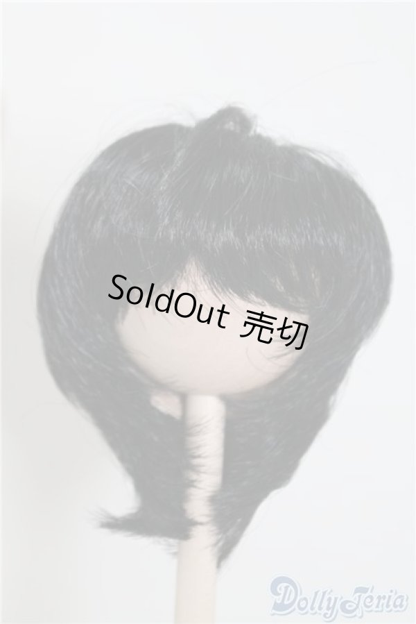 画像1: 8-9inch/ウィッグ U-24-11-19-069-TN-ZU (1)