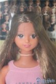 画像1: ジェニー/ジェーン/BJD　球体関節人形 A-25-03-26-304-TN-ZA (1)