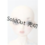 画像: SDGr/ロリーナ　中原淳一・ぱたーん版〜ブラウス集 扉絵〜 U-24-11-26-220-KD-ZU