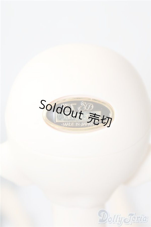 画像4: SDGr/ロリーナ　中原淳一・ぱたーん版〜ブラウス集 扉絵〜 U-24-11-26-220-KD-ZU (4)