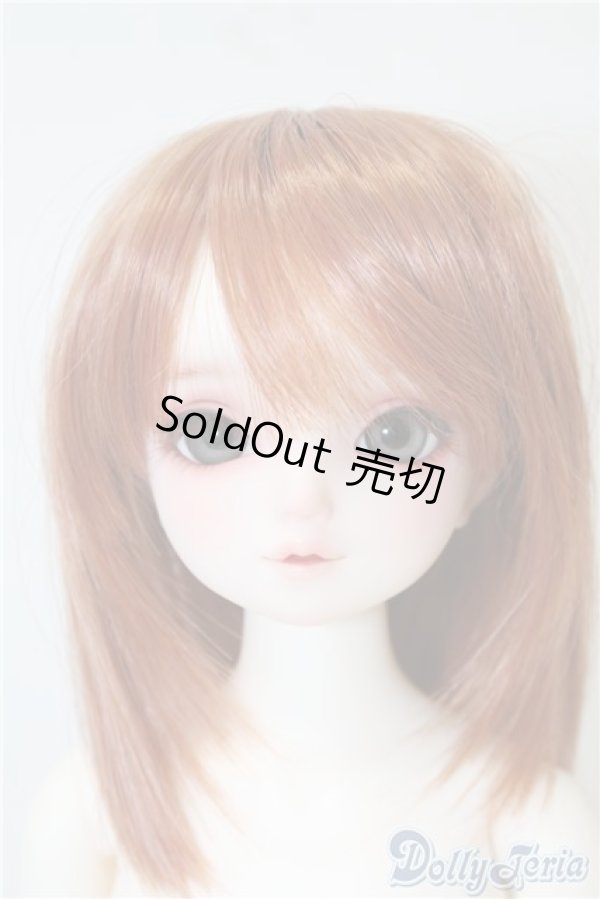 画像1: SDM/サキ スタンダードモデル U-24-12-10-215-TN-ZU (1)