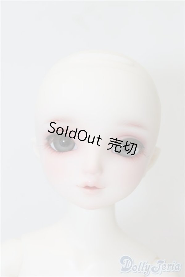 画像2: SDM/サキ スタンダードモデル U-24-12-10-215-TN-ZU (2)