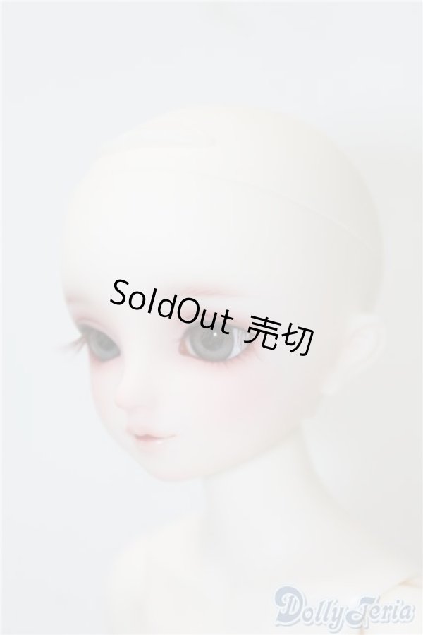 画像4: SDM/サキ スタンダードモデル U-24-12-10-215-TN-ZU (4)