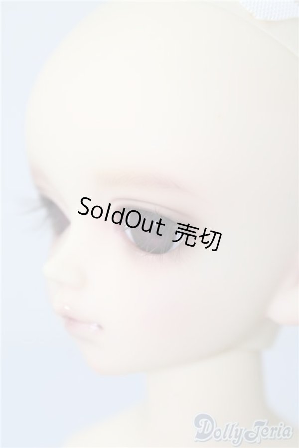 SD女の子/フルチョイスF-16 U-24-02-28-217-TN-ZU - DOLL UP!
