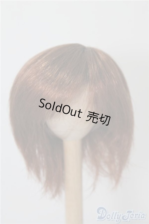 画像1: 6-7inch/ウィッグ U-24-12-17-045-TN-ZU (1)