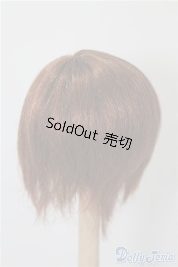 画像2: 6-7inch/ウィッグ U-24-12-17-045-TN-ZU (2)