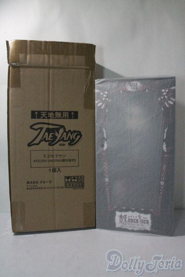 画像2: ATSUSHI SAKURAIxTEYANG/魅世物小屋が暮れてから〜SHOW　AFTER　DARK〜 A-25-09-10-1099-TN-ZU (2)