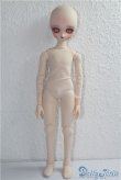 画像4: parabox40女の子ボディ＆DDH-01カスタムヘッド A-24-12-25-1001-KD-ZA (4)