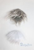 画像1: 6-7inch/ウィッグ/インチ　BJD　MJD　ドール用 A-25-04-09-060-KD-ZA (1)