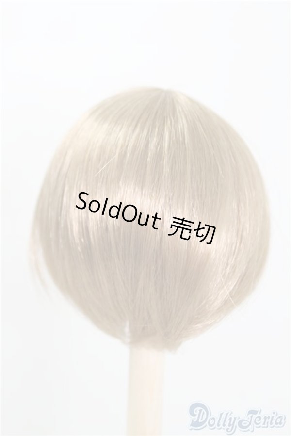 画像2: 9-10inch/ウィッグ U-24-12-31-076-TN-ZU (2)