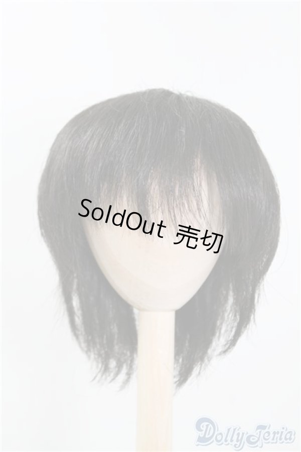 画像1: 9-10inch/ウィッグ U-24-12-31-077-TN-ZU (1)