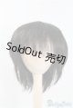 画像: 9-10inch/ウィッグ U-24-12-31-077-TN-ZU