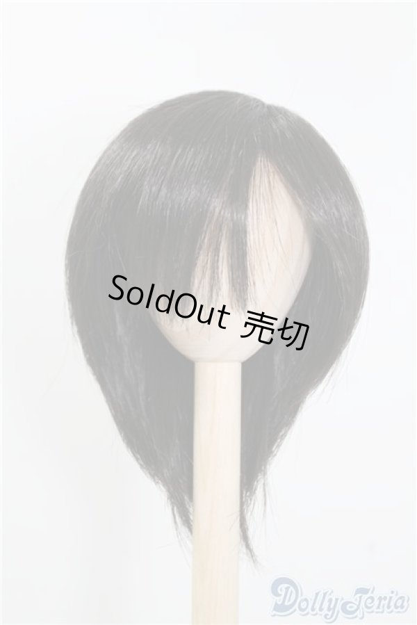 画像1: 8-9inch/ウィッグ U-24-12-31-082-TN-ZU (1)