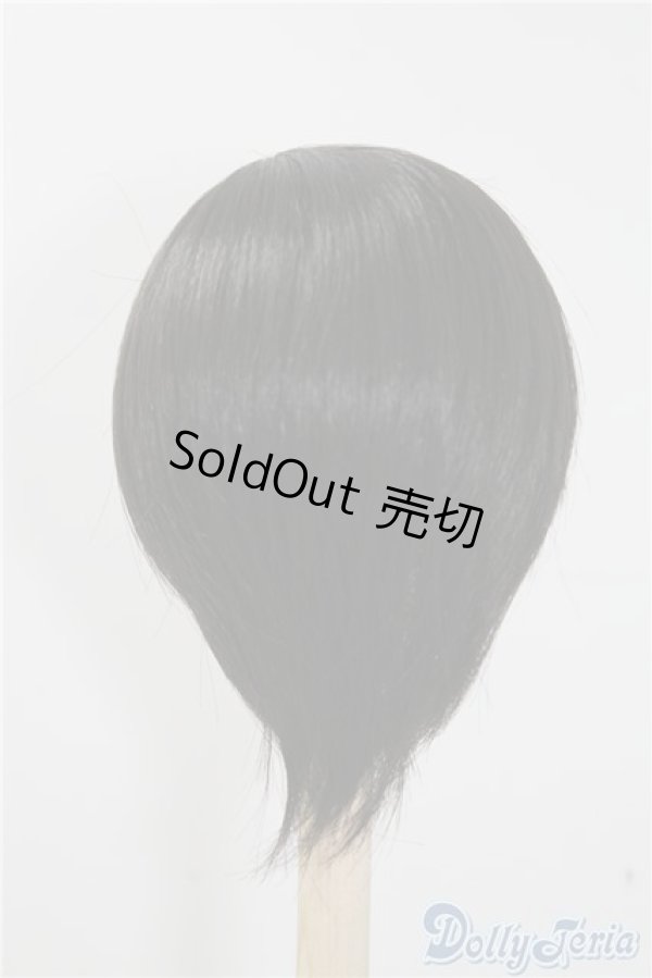 画像2: 8-9inch/ウィッグ U-24-12-31-082-TN-ZU (2)