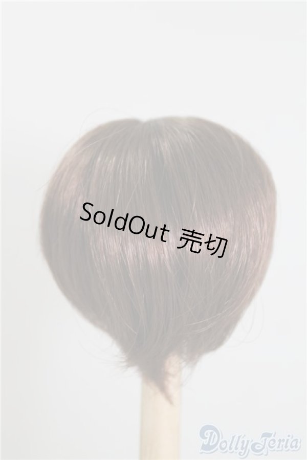 画像2: 6-7inch/ウィッグ U-24-12-31-108-TN-ZU (2)