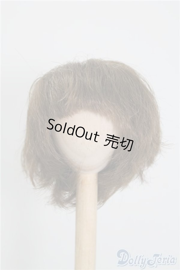 画像1: 6-7inch/ウィッグ U-24-12-31-111-TN-ZU (1)