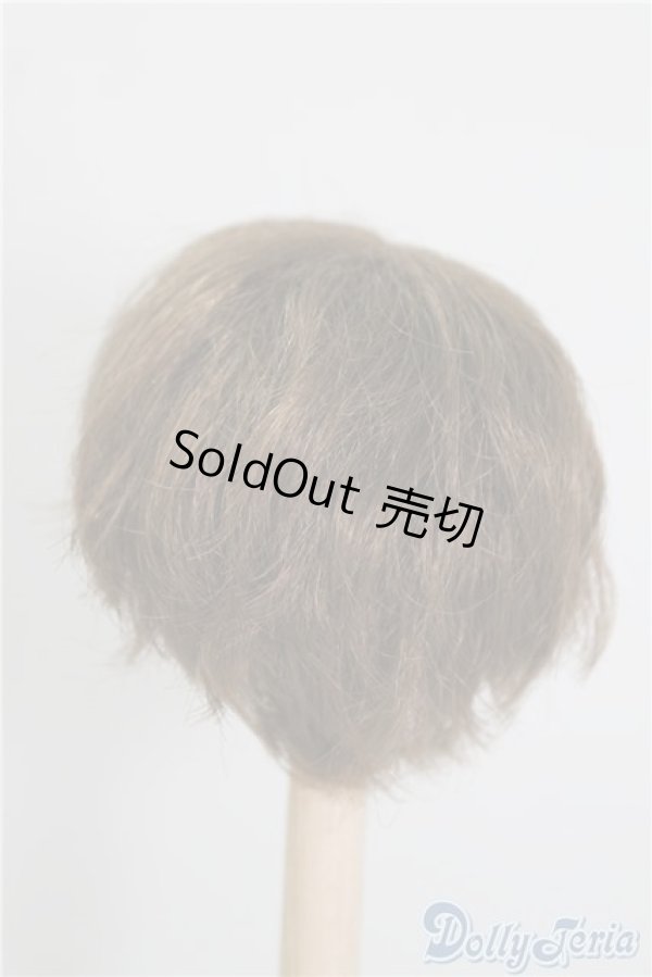 画像2: 6-7inch/ウィッグ U-24-12-31-111-TN-ZU (2)