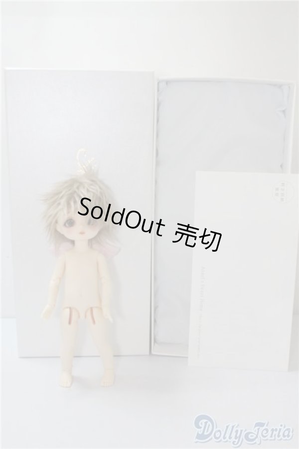 画像5: SD/精天使 U-24-12-24-220-TN-ZU (5)