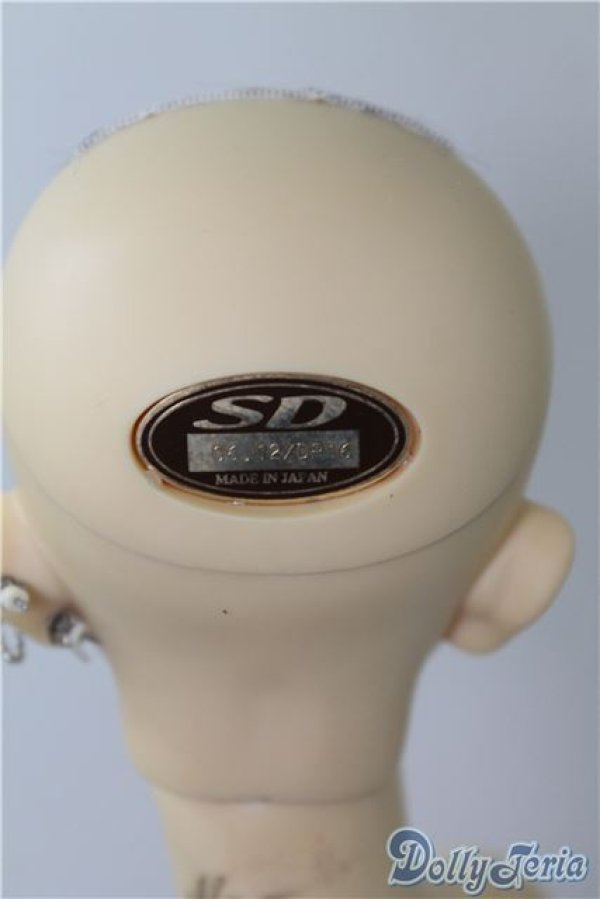 画像4: SD13男の子/ウィリアムズ U-24-12-31-213-TN-ZU (4)