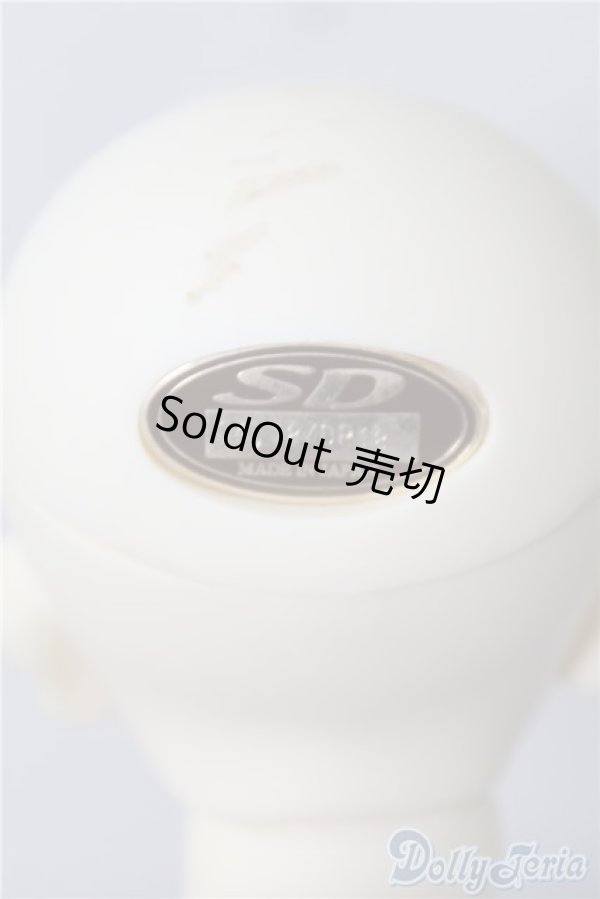 画像4: SD13男の子/荒夜 U-24-12-31-211-TN-ZU (4)