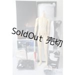 画像: SD17BOY/ボディ U-24-12-31-203-TN-ZU