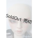画像: SD17BOY/ウィリアムズ:Commodore ver. U-25-01-07-213-TN-ZU