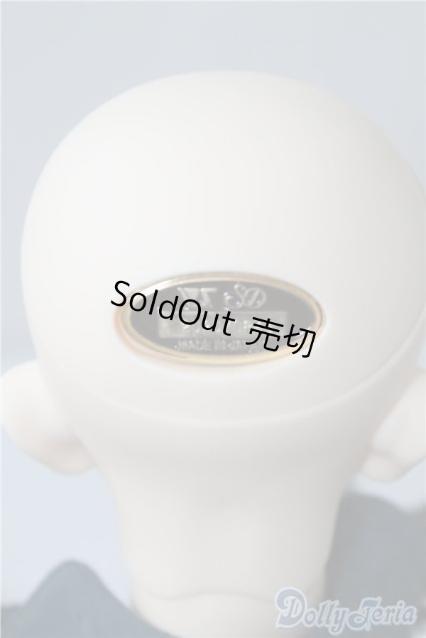 画像4: SD17BOY/ウィリアムズ:Commodore ver. U-25-01-07-213-TN-ZU (4)