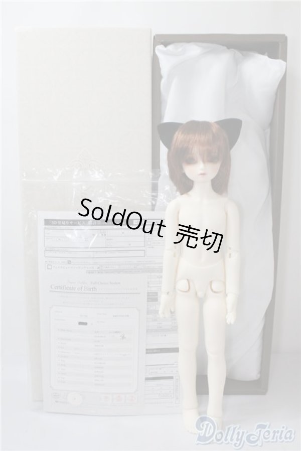 画像6: SDM/フルチョイスF-58 U-25-01-14-213-TN-ZU (6)