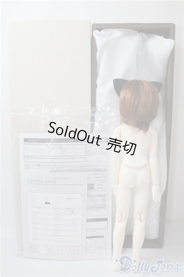 画像7: SDM/フルチョイスF-58 U-25-01-14-213-TN-ZU (7)