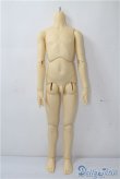 画像1: SD13BOY/ボディ U-25-01-14-218-TN-ZU (1)