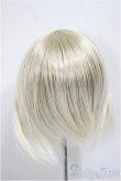 画像2: 9-10inch/ウィッグ/インチ　BJD　MJD　ドール用 A-25-08-13-382-TN-ZA (2)