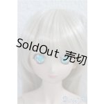 画像: DDS/ベースボディ(DD-f3)&DDH-65メイク済ヘッド A-25-01-22-1046-KD-ZU