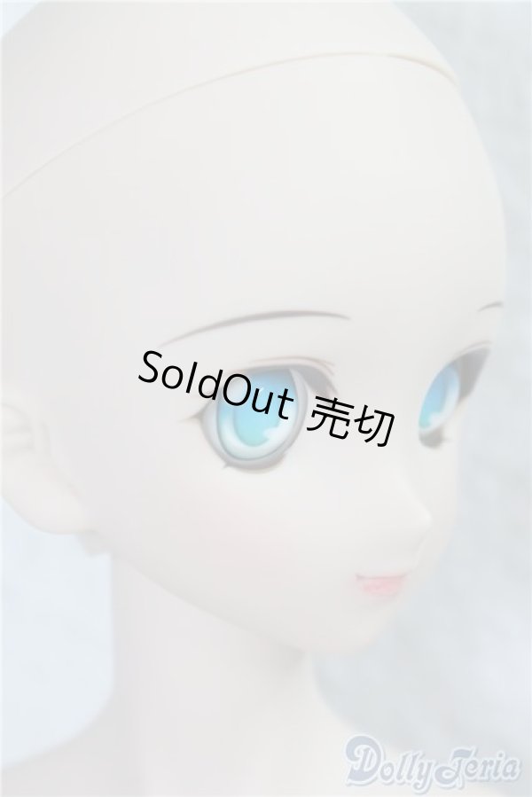 画像3: DDS/ベースボディ(DD-f3)&DDH-65メイク済ヘッド A-25-01-22-1046-KD-ZU (3)