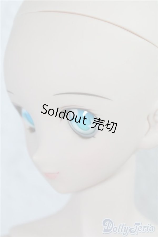 画像4: DDS/ベースボディ(DD-f3)&DDH-65メイク済ヘッド A-25-01-22-1046-KD-ZU (4)