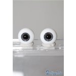 画像: 16mm/グラスアイ U-25-02-04-084-TN-ZU
