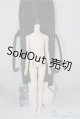 画像: spritdoll/Elegance Boy Single Torso Body A-25-02-05-1093-TN-ZU
