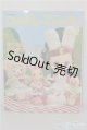 画像: 書籍/Dolly　Dolly A-25-02-05-1067-KD-ZU
