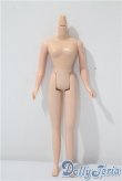 画像1: 1/6ボディ A-25-02-19-1056-KD-ZU (1)