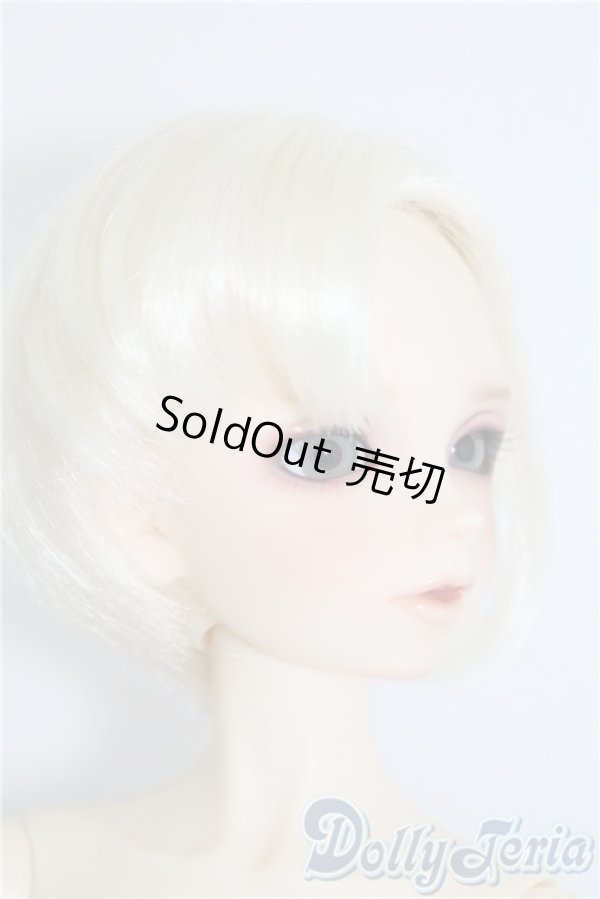 画像4: SD男の子　Cecile in the Boyhood Version　(セシル 〜少年期〜) U-25-02-18-216-KD-ZU (4)