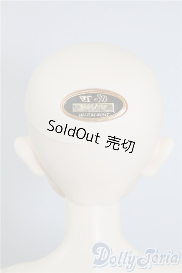 画像5: SD男の子　Cecile in the Boyhood Version　(セシル 〜少年期〜) U-25-02-18-216-KD-ZU (5)