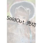 画像: momokoDOLL/アンティークドリーミング A-25-02-19-1019-TN-ZU