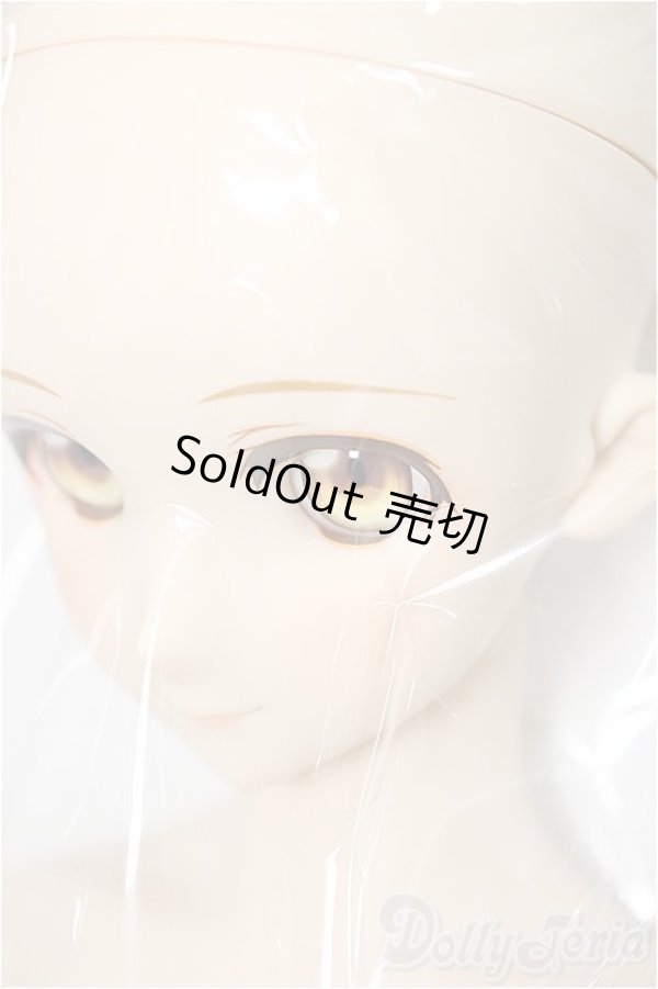 画像3: DD/アスナ ティターニアVer./BJD　球体関節人形 A-25-02-19-248-TN-ZA (3)